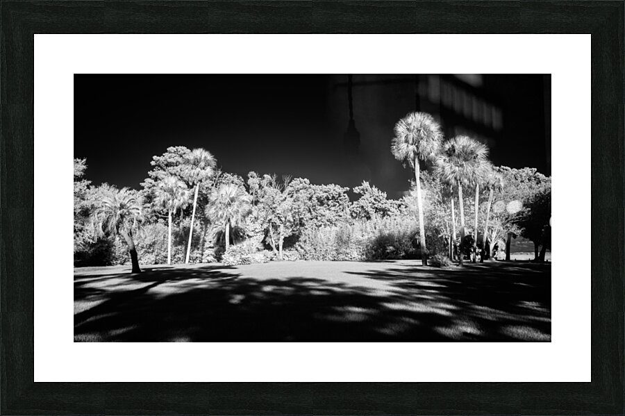 Lighted Center Picture Frame print