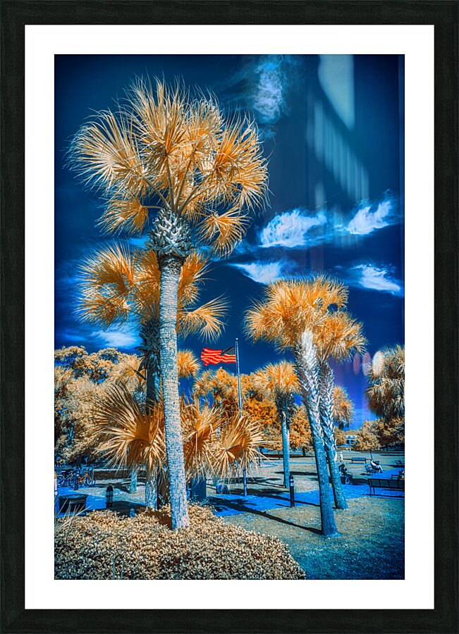 Neptune Park Oasis: A Pictorial Tale of Saint Simons Island Bliss Picture Frame print