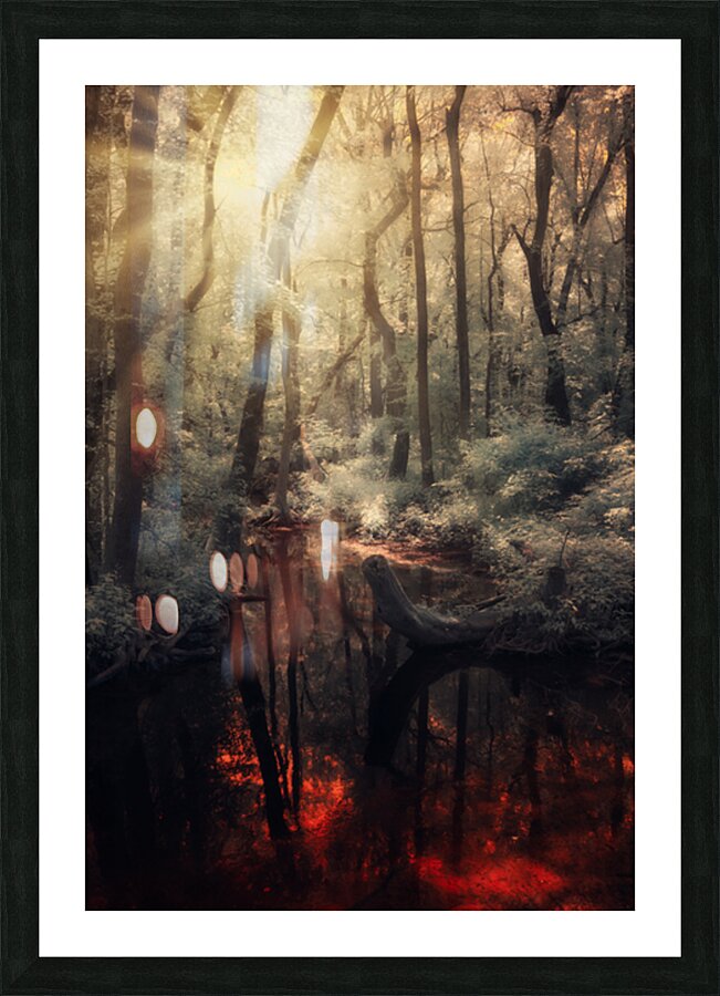 Between Realms Picture Frame print