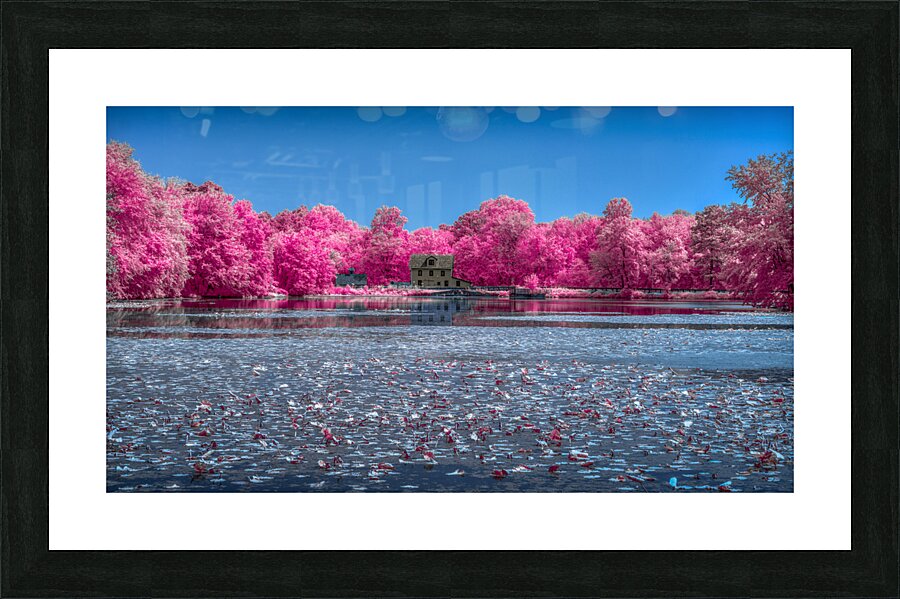 Pinker Picture Frame print