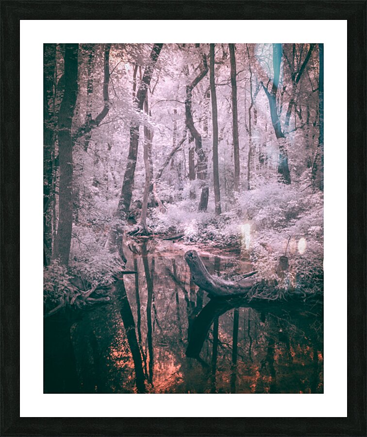Whispering Woods: Exploring the Enchantment of Abbots Mill Picture Frame print