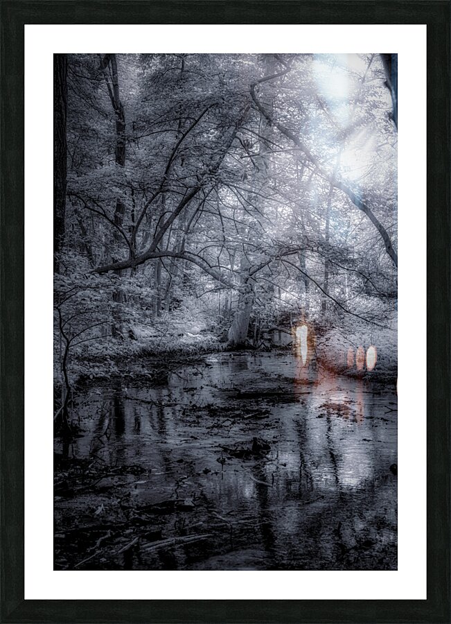 Mystical Reverie: Infrared Wonders of Abbotts Mills Swamp Vista Impression et Cadre photo