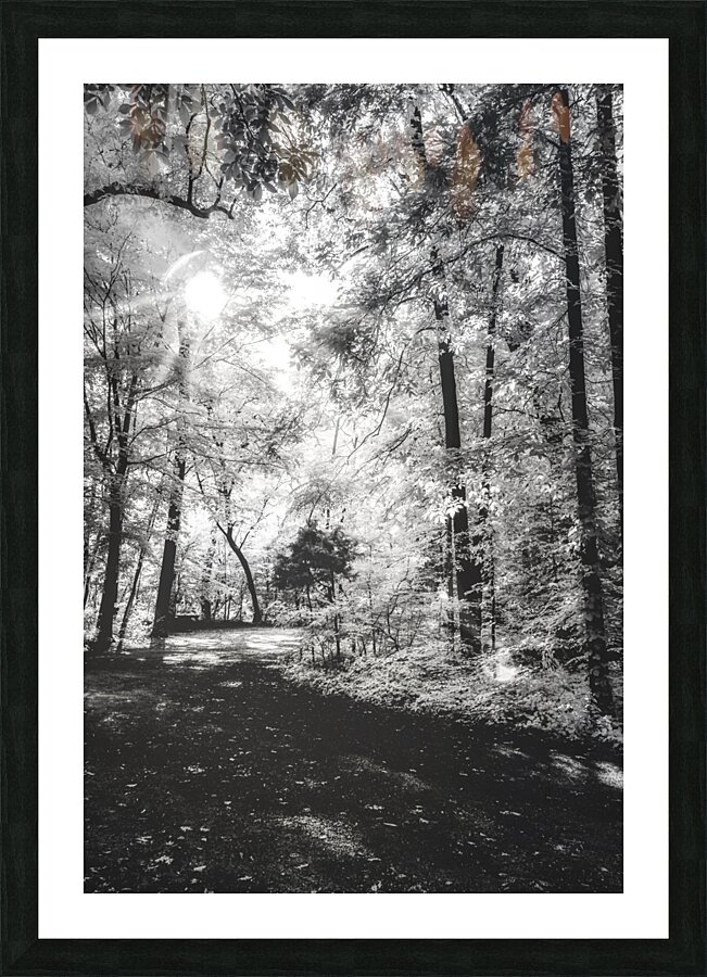 Roasted Road Picture Frame print