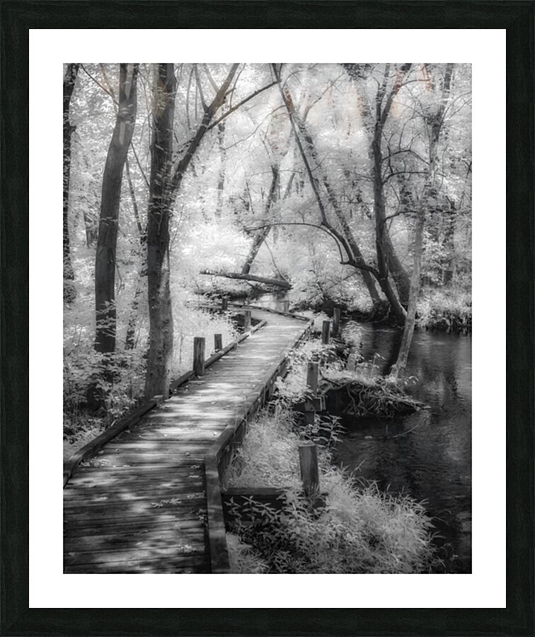 Woodland Whisper from Delawares Heart Picture Frame print