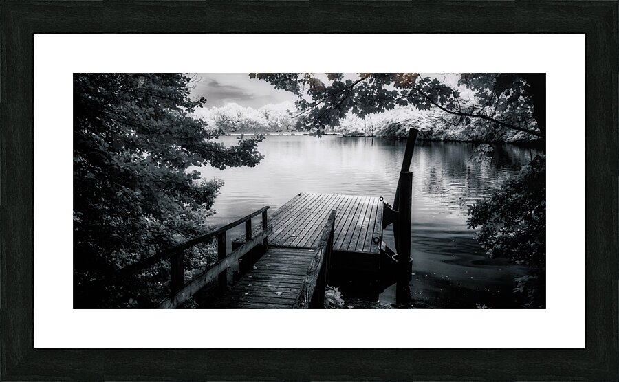 Monochrome Serenade: Abbotts Pond Delaware Picture Frame print