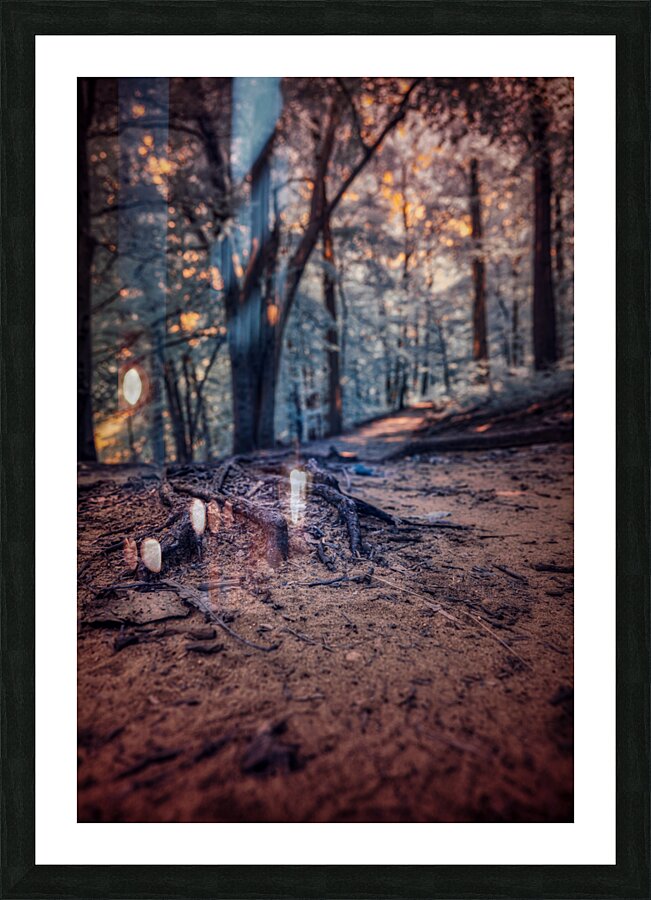 Purple Roots Impression et Cadre photo