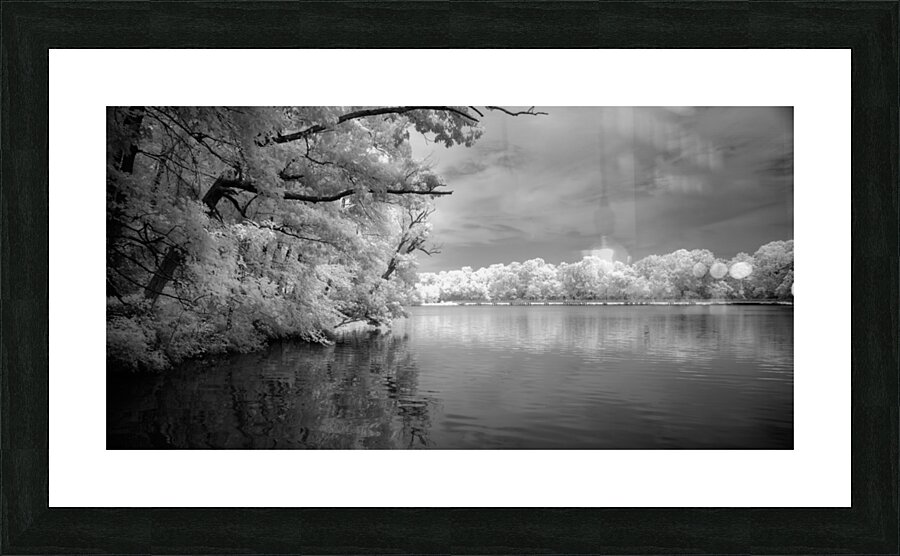 Infrared Killens Picture Frame print