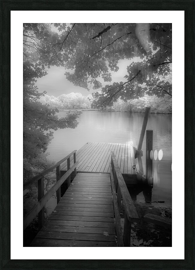 Stillness Captured: Abbotts Pond Impression et Cadre photo