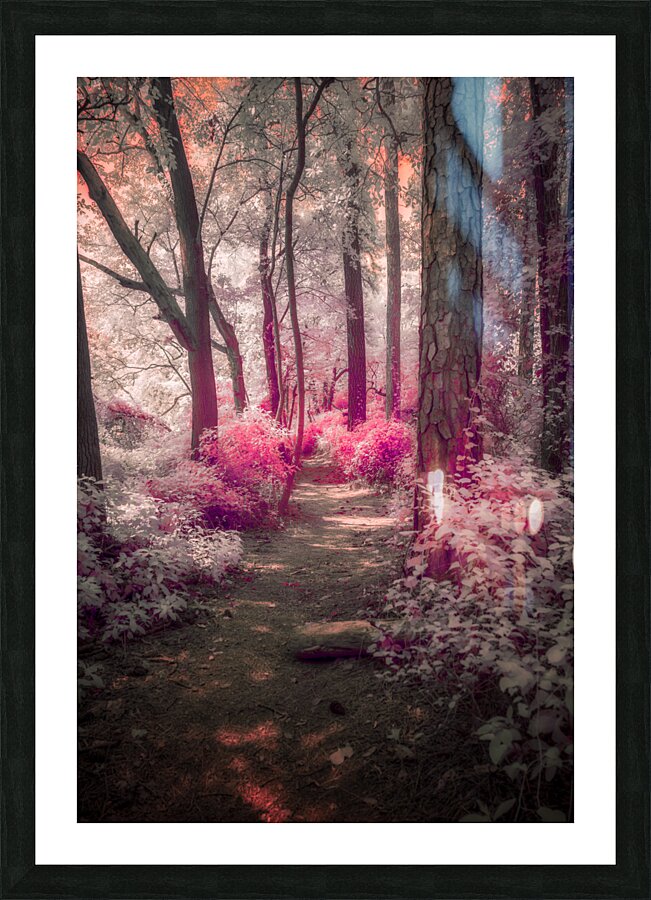 Blushing Path Picture Frame print