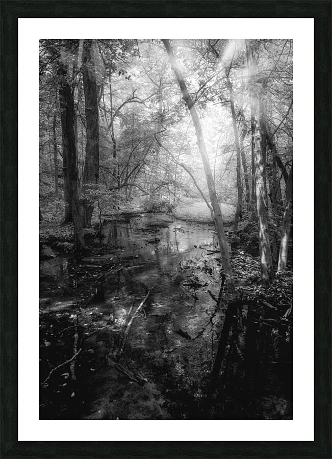 Killens Swamp Impression et Cadre photo