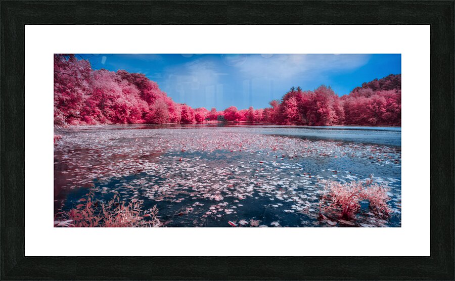 Ruby Pond Picture Frame print