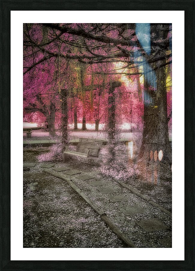 Echoes of Time: Infrared Memories Picture Frame print