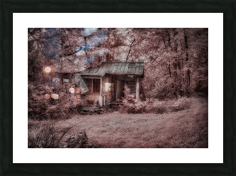 Louisiana Fishing Shack-3 Picture Frame print