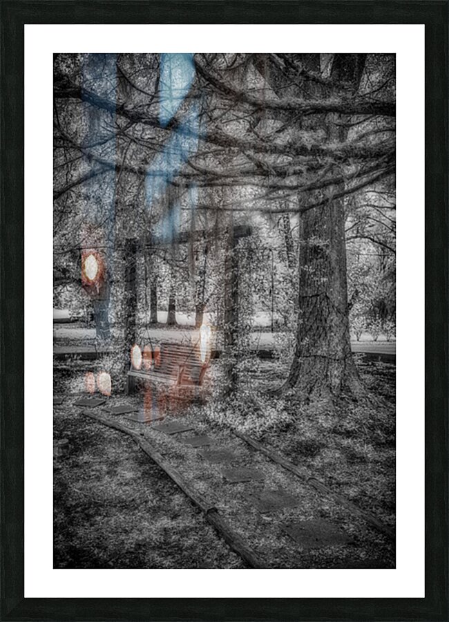 Echoes of Time: The Forgotten Swing Impression et Cadre photo