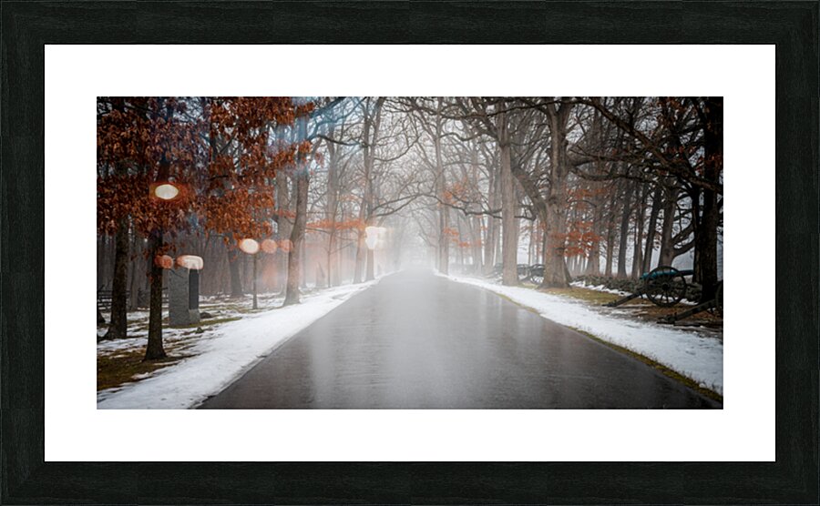 Confederate Rain Picture Frame print