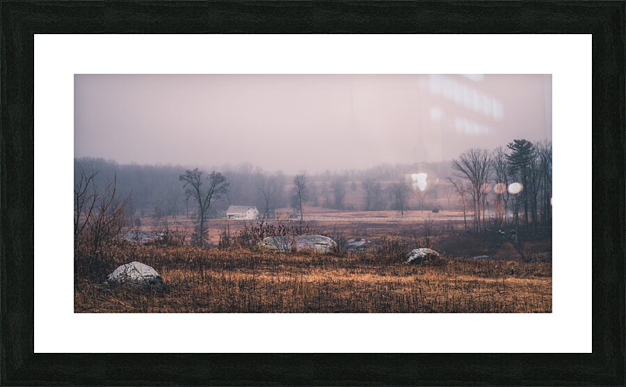 Chestnut Picture Frame print