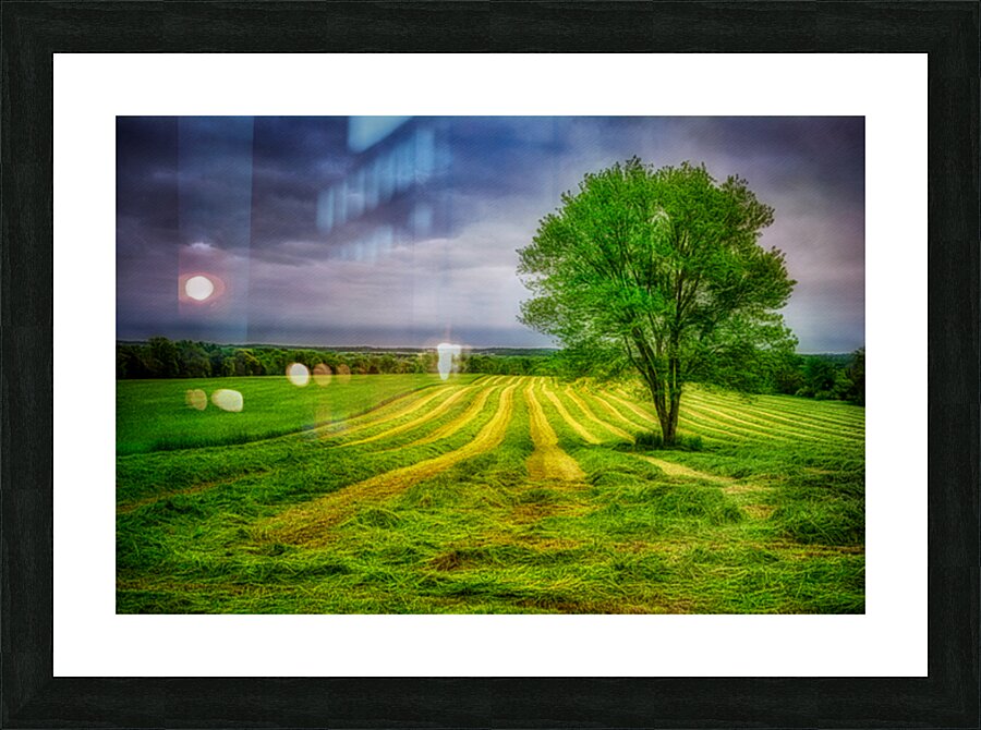 Verdant Harvest Picture Frame print