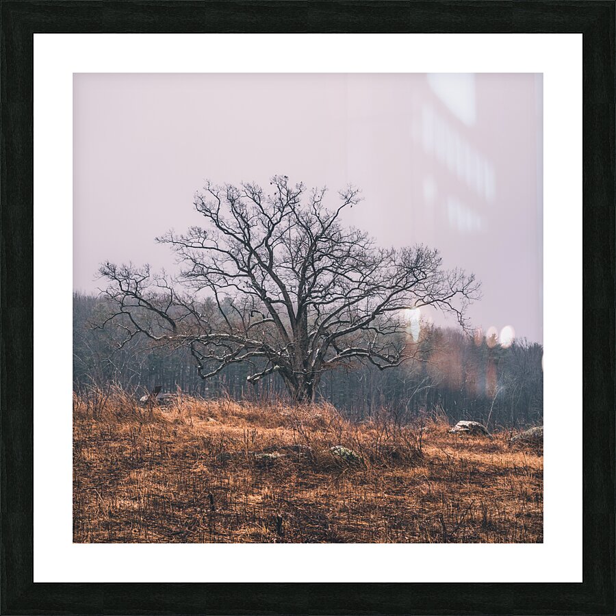 Over the Hill Picture Frame print