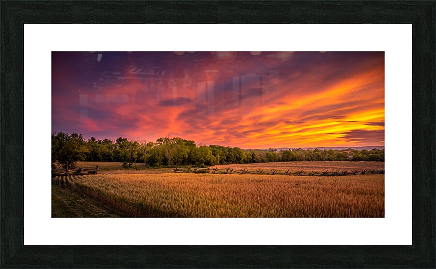 Sunset along a fence Picture Frame print
