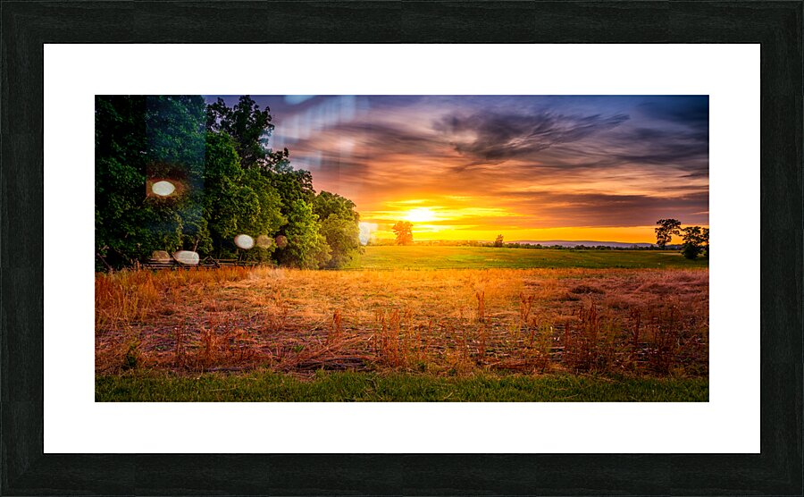 Herps woods Sunset Picture Frame print