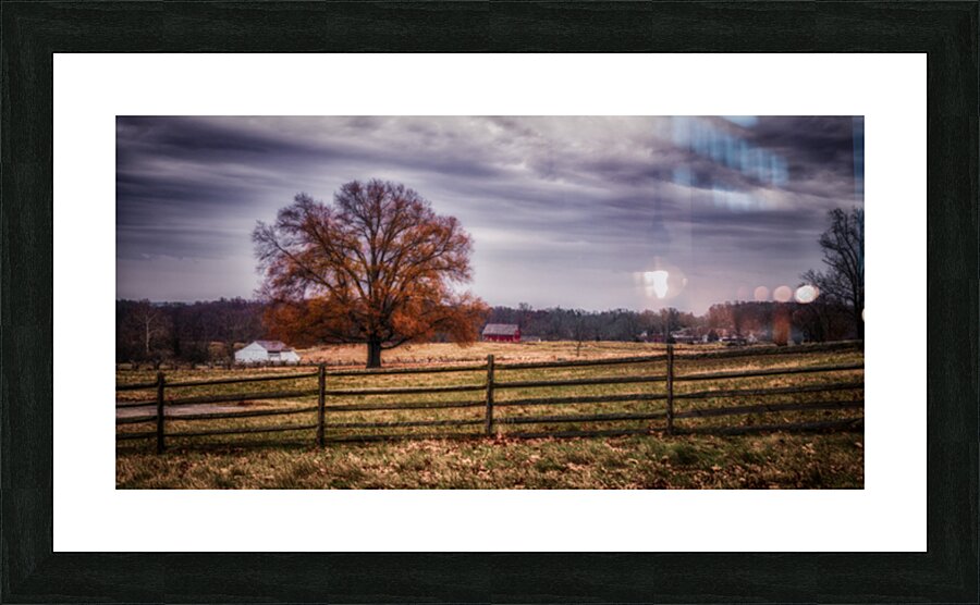 Autumns Guardian Picture Frame print