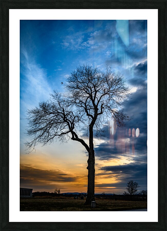 Winters Last Light Picture Frame print