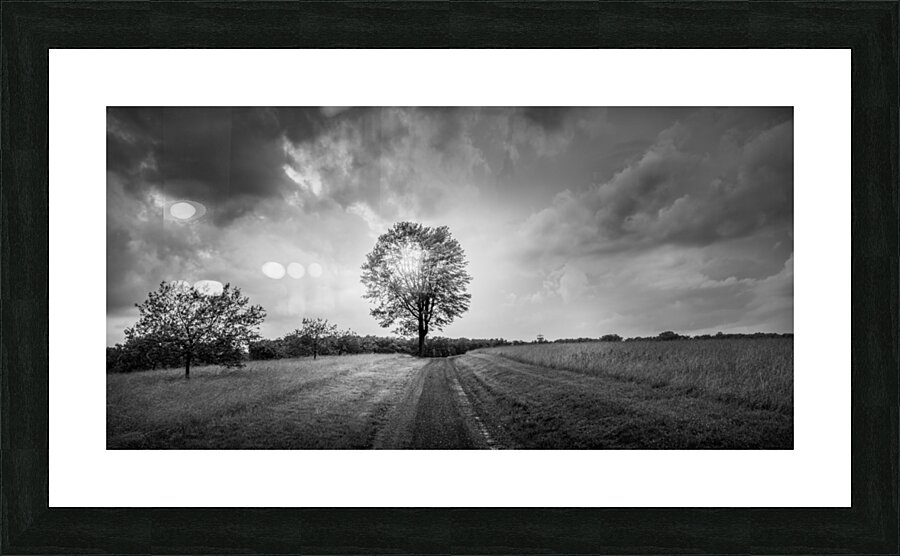 Majestic Solitude: An Evening Ride Through History Picture Frame print