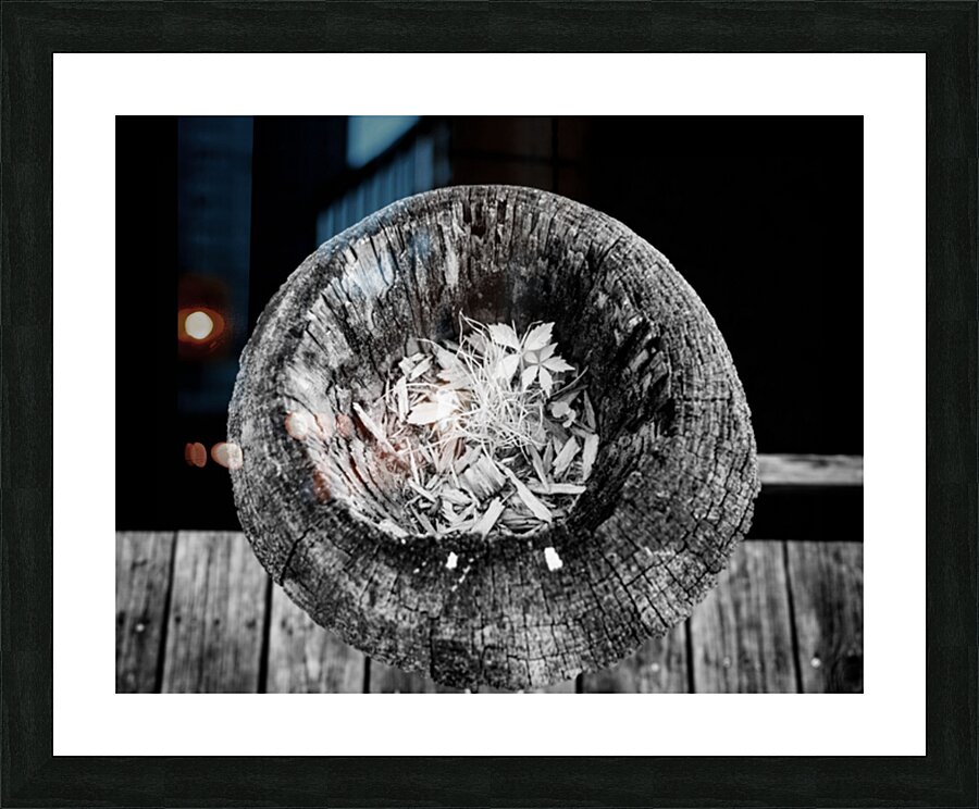 Echoes Within Wood Picture Frame print