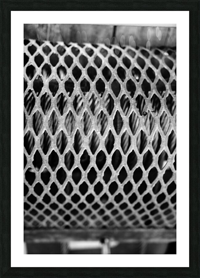 Monochrome Marine Mysteries: Up Close & Personal Picture Frame print