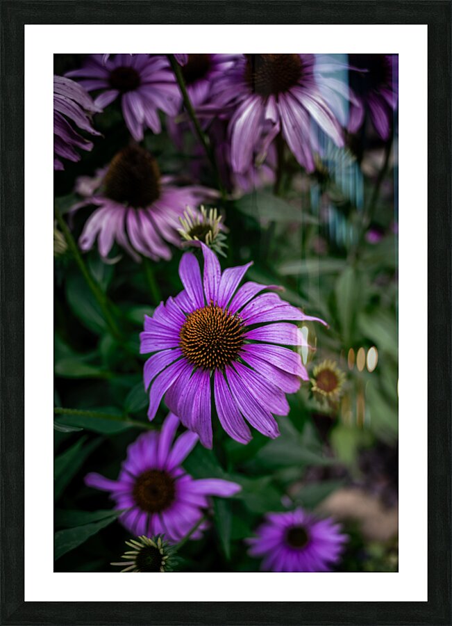 Loris Flowers - 4 Picture Frame print