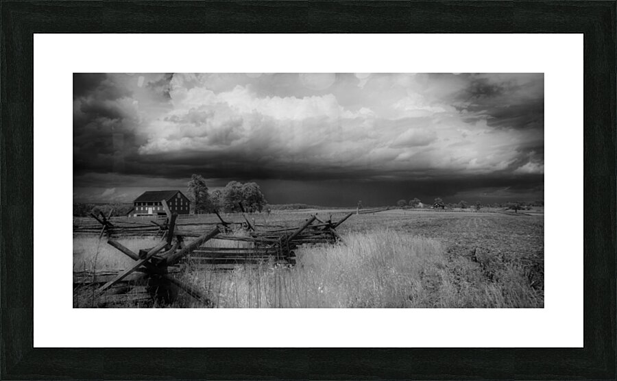 Infrared Field  Picture Frame print