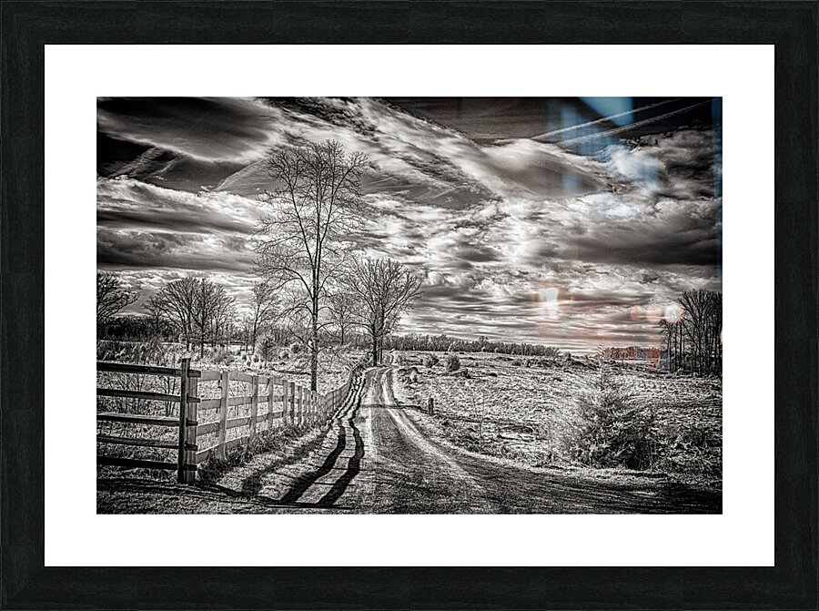 Oz Picture Frame print