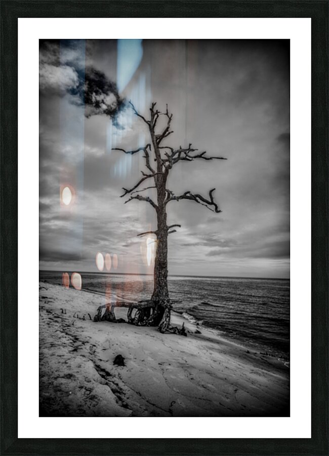 Coastal Sentinel Impression et Cadre photo