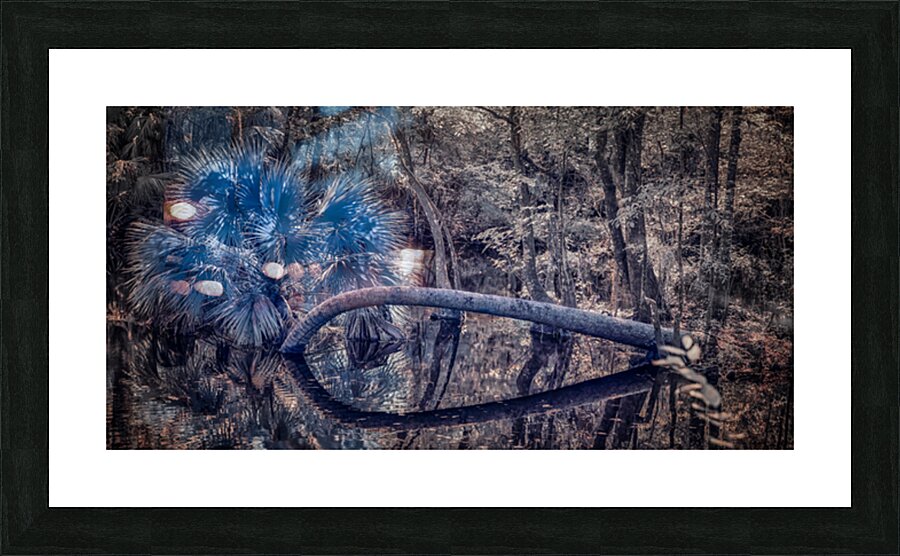 Natures Infinity Picture Frame print