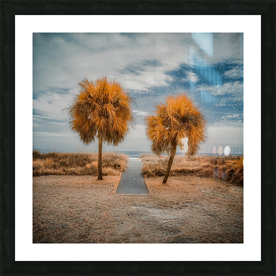 Palm Guards Picture Frame print