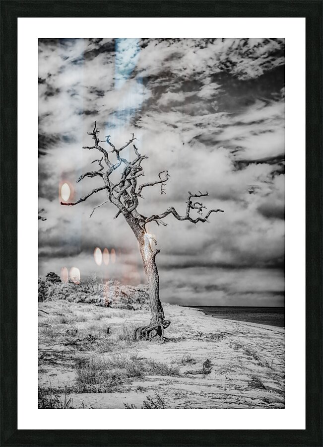 Alone and Lost Picture Frame print