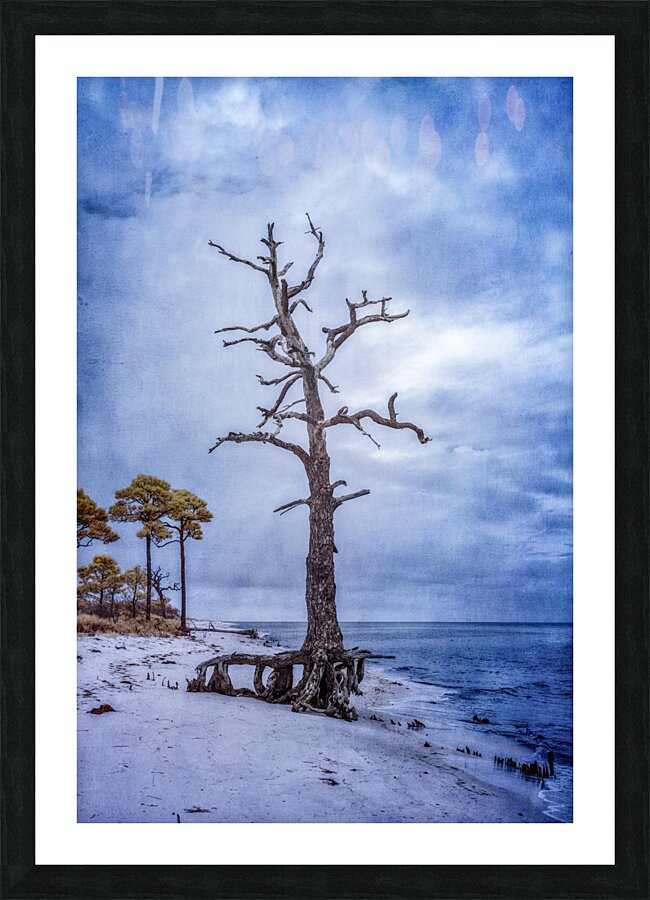 Coastal Sentinels Last Watch Picture Frame print