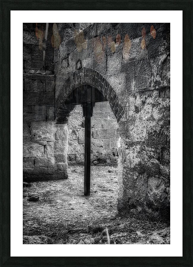 Archway Ruins: Bulow Plantation Picture Frame print