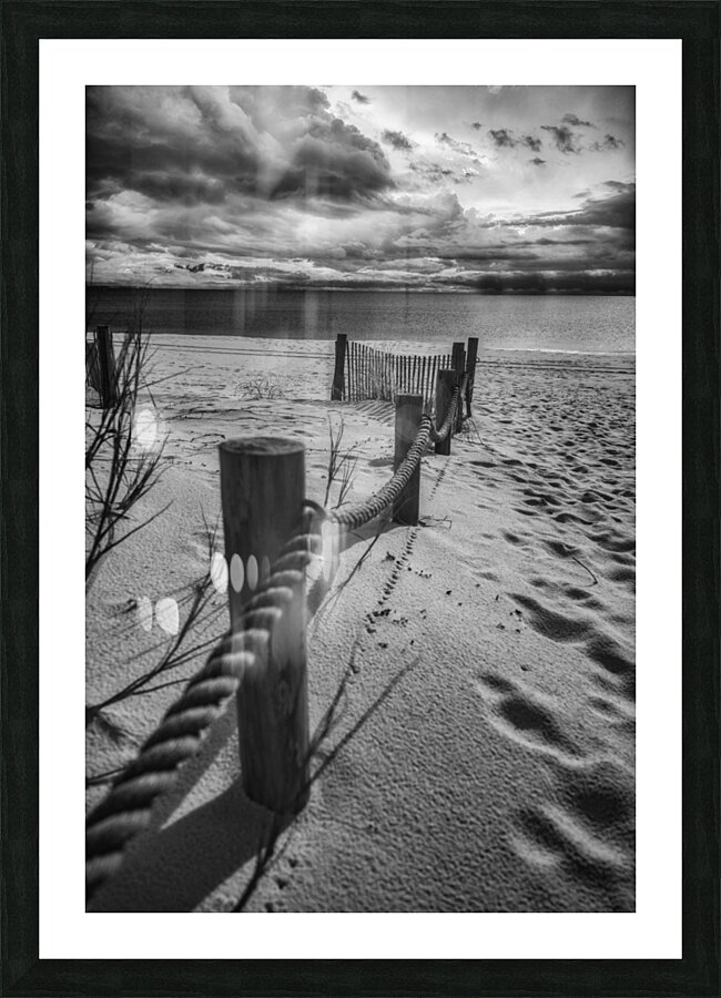 Gulf Coast Barrier Picture Frame print