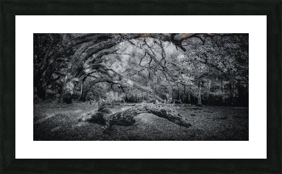 Wooden Nellie Impression et Cadre photo