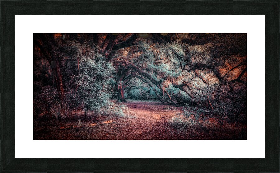 Solitary Trails: Oak Hangover Picture Frame print