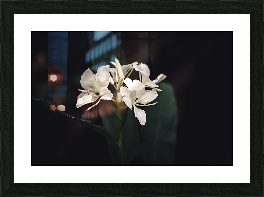 Hush Picture Frame print