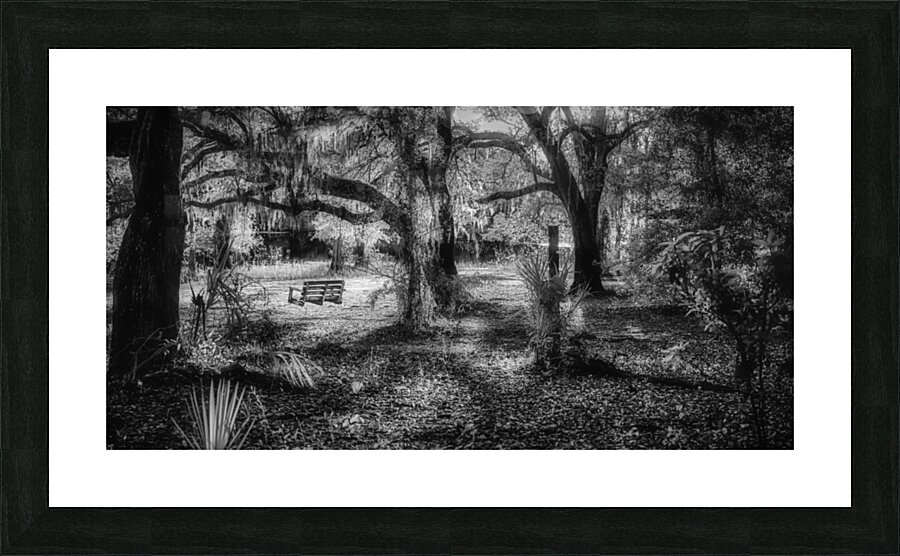 Forest Swing Impression et Cadre photo