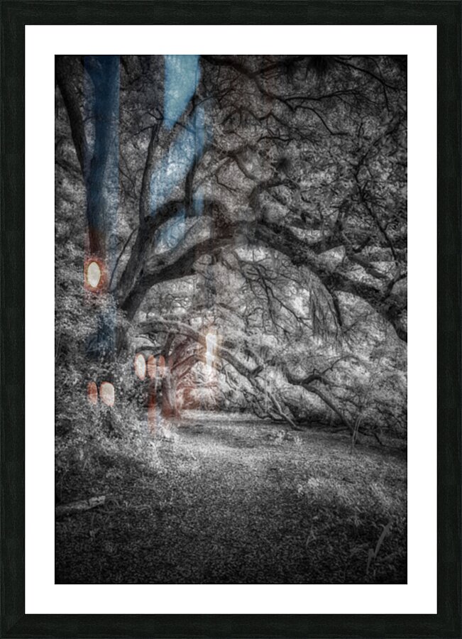 Whispers in the Grove Picture Frame print