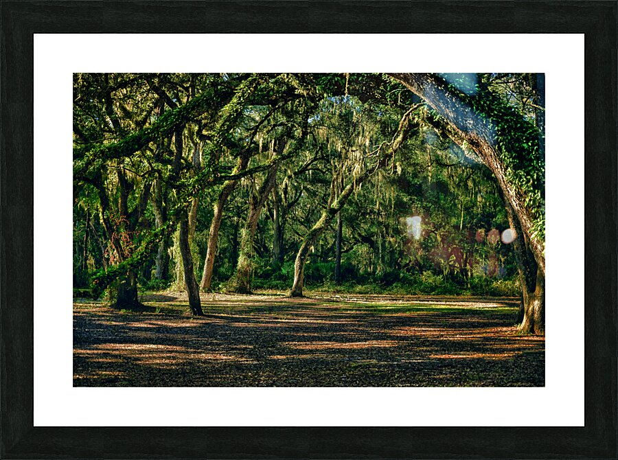 Oak Arches Picture Frame print