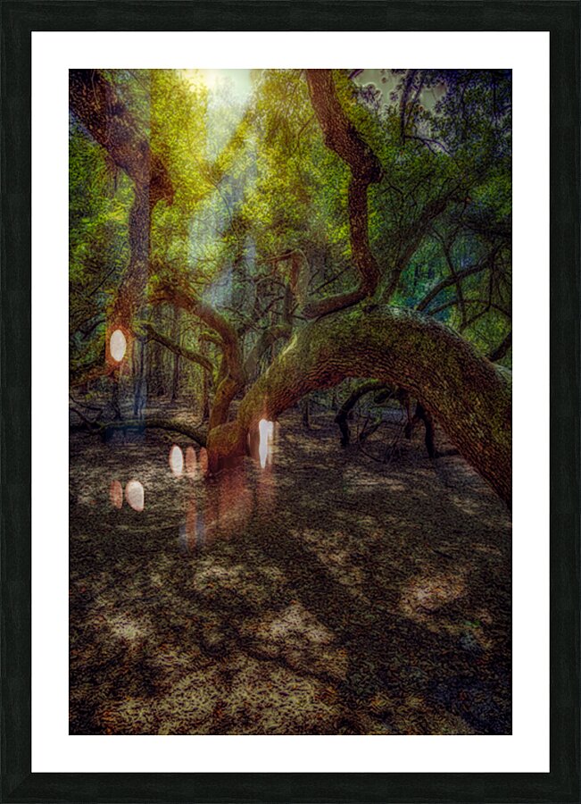 Ancient Oaks Dream Picture Frame print