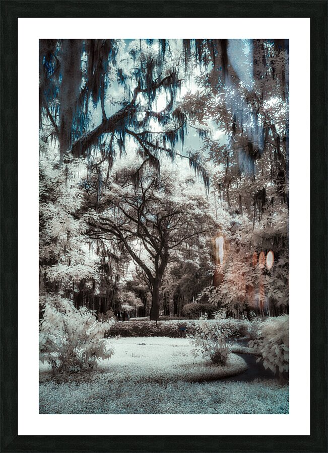 Otherworldly Impression et Cadre photo