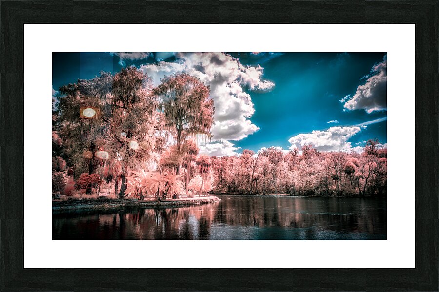Fantastical Foliage: Silver Springs State Park Picture Frame print