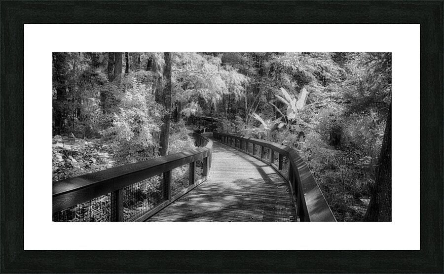 Infrared Boardwalk Bend Picture Frame print