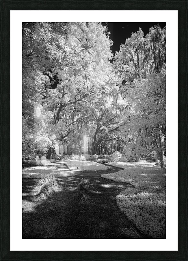 Infrared Pathway Impression et Cadre photo